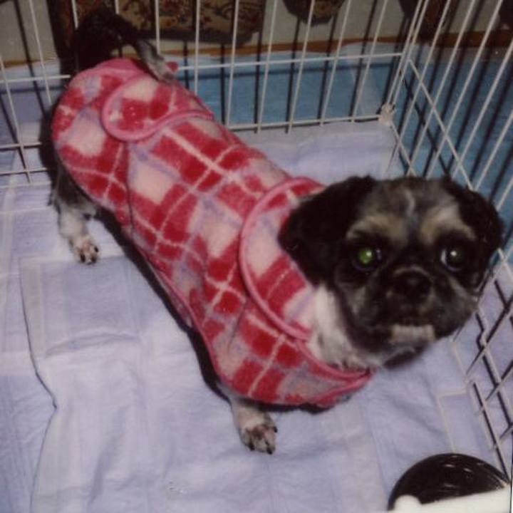 0eac5039 4eb6 4788 bc90 eb1d2efd4b8a 1623367962622