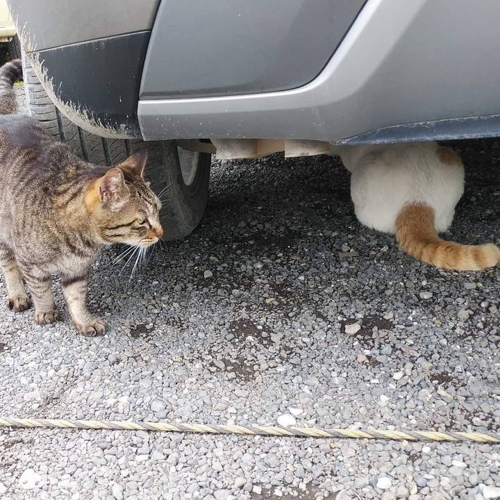 0eac7f04 047b 44b3 ae82 4fd836dce69c 1652785781781