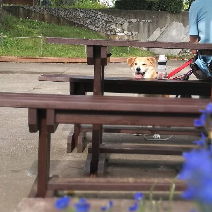 0eacf70f 02f8 486d 9236 ca6cd5a4bc0b 1558939656230