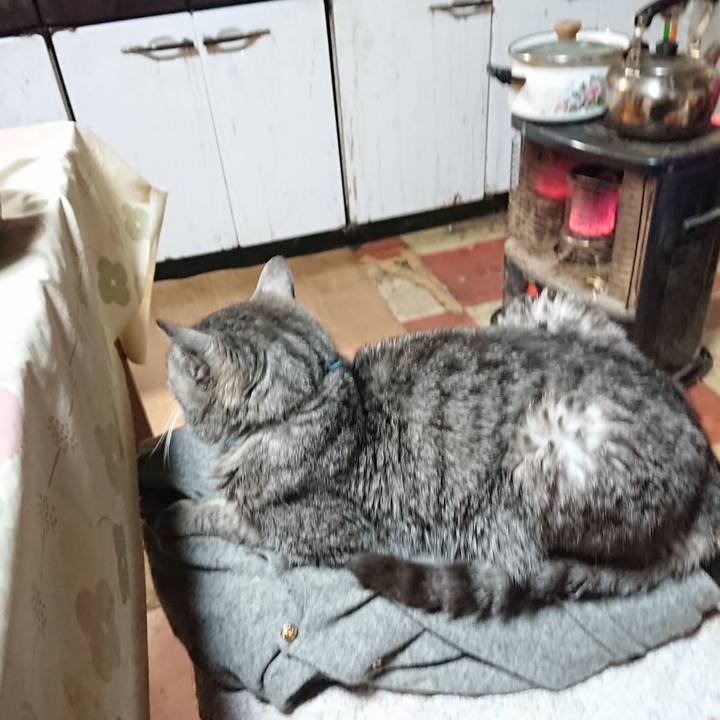 0eacfcc1 b705 47e3 9160 ecbc7cdd7eea 1575717153765