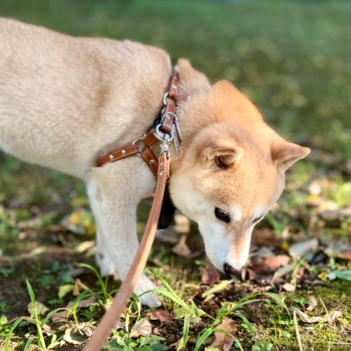 0eacfe5a aadb 469e a57e 54d3f79cede1 1761174942170