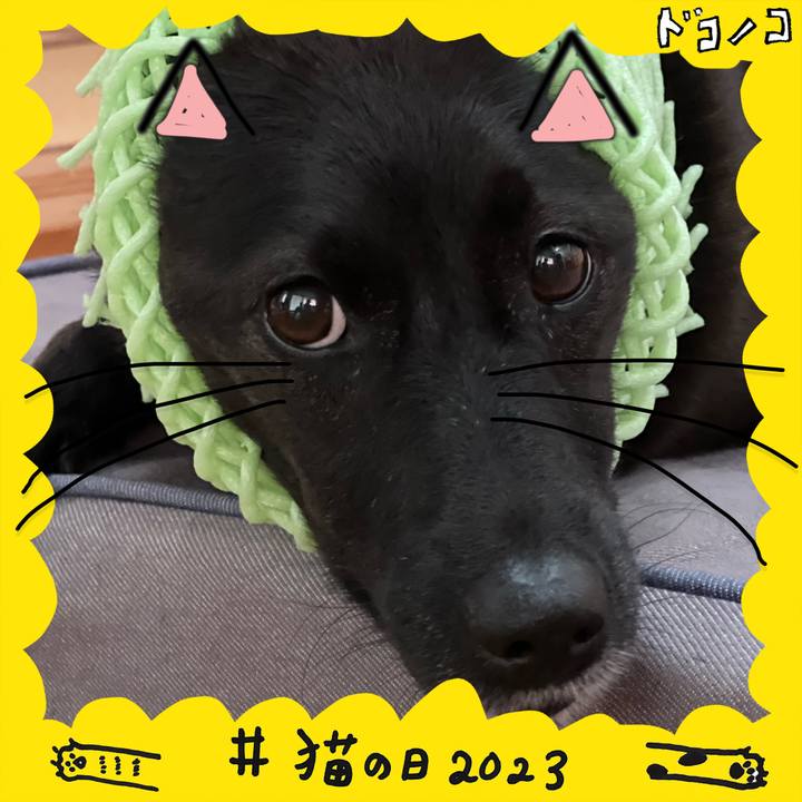 0ead27a7 c894 4279 b0e0 cf9484db8c89 1677034444023