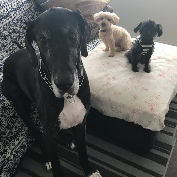 0ead333f 22c0 40ba b58c dc7f5cf300e0 1524696882125