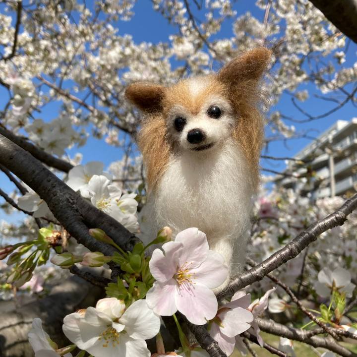 0ead377a 8f23 4e30 877a c7befc4e1c04 1616549680231