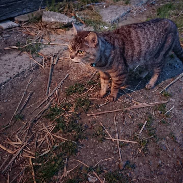 0ead5bed c8c3 40f3 b00e b9d1f78f094d 1558606901227