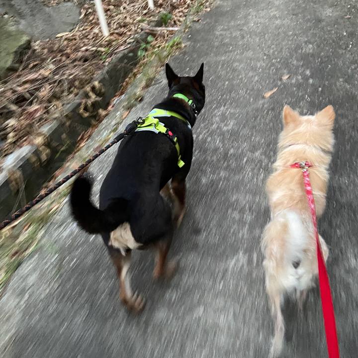 0ead6cb3 4ab9 4e61 819f 31ad247abed4 1647441737047