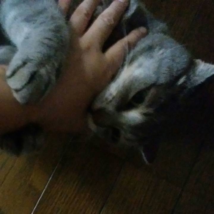 0ead7c18 d1d5 435e adeb 1140f15979f9 1567849378757