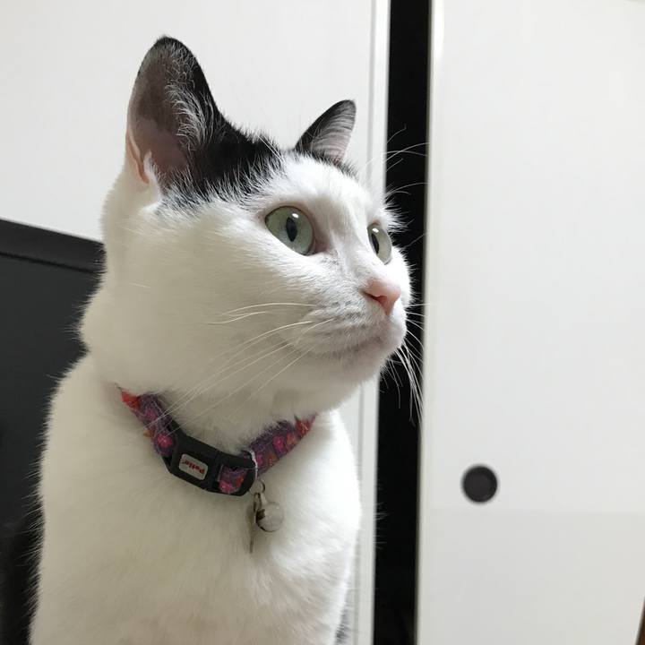 0ead96ee 562e 46b3 ad6c 1bbf18f4dc16 1522670526933