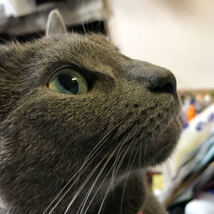 0eadac6d 8302 45b7 acfb 1f0069c1388f 1530965483975