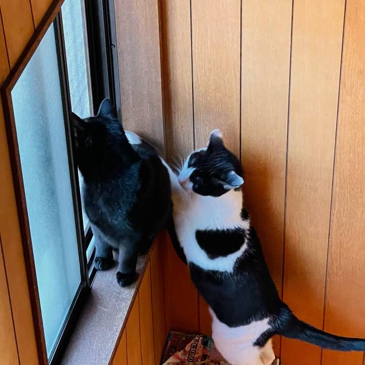 0eae0088 f16d 4acd 962c 79f8cb4dcb5b 1648346059137