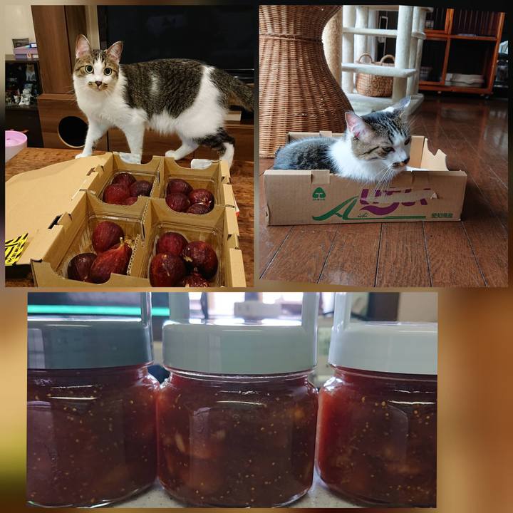 0eae1303 ed40 46ad bb87 d600d663d8bc 1597331308875