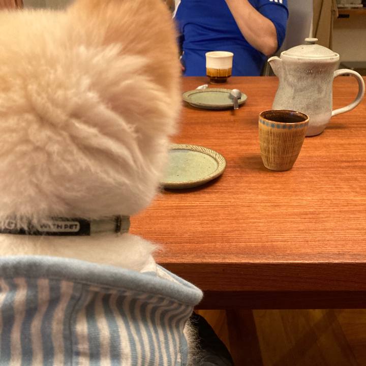 0eae2b0e cdfc 422a 9a41 1995aaf9d15c 1636500654814