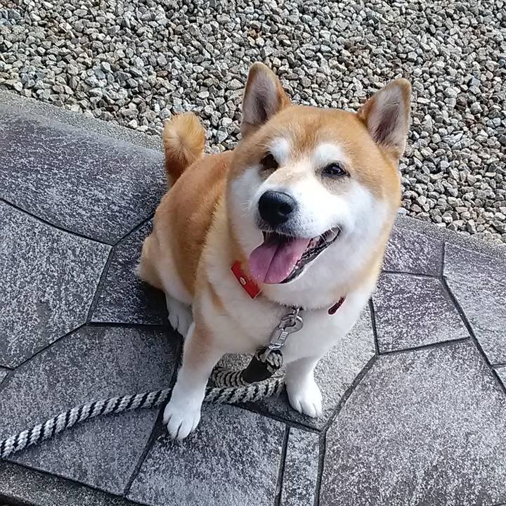 0eae4513 446b 4ae6 8211 179b76aa8040 1689119179168