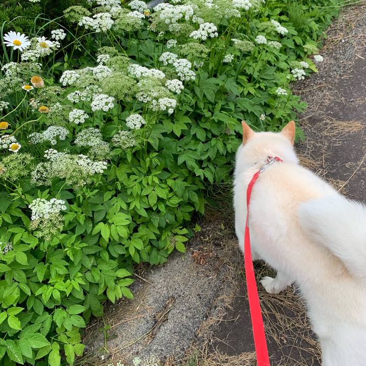 0eae4e30 f08e 4e8f bcb0 c86b02509773 1562112134880