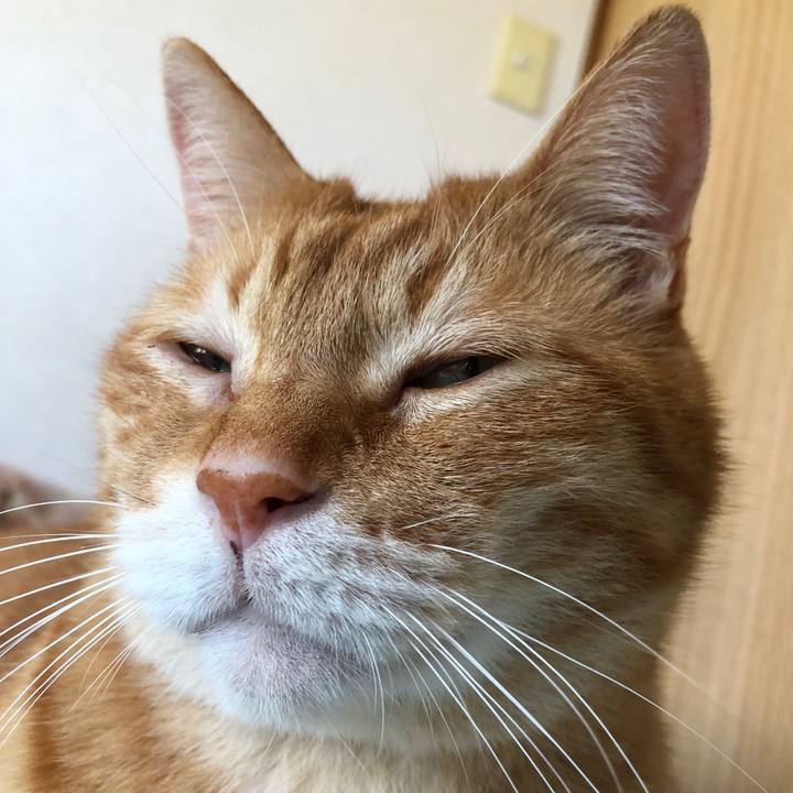 0eae53a9 9241 4088 81fe a0cdb8ef8a0b 1686992367777