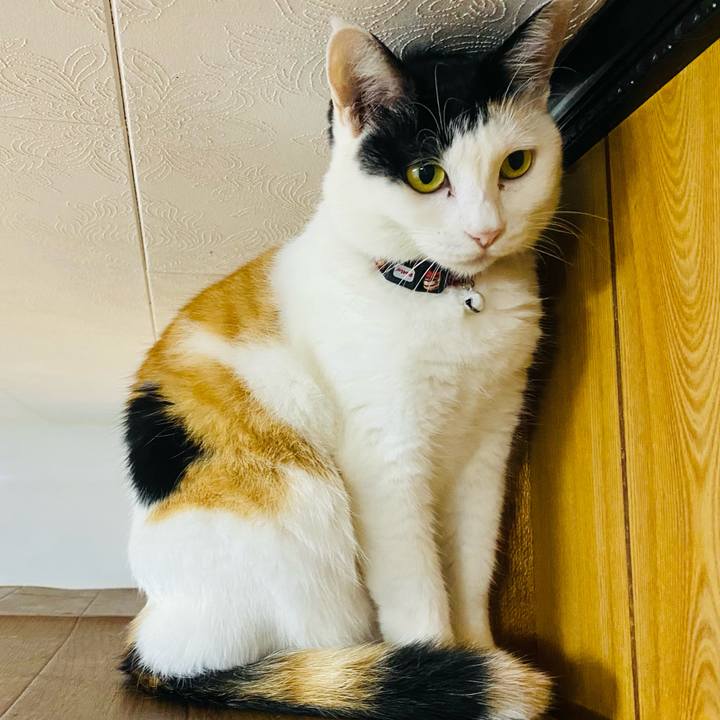 0eae5c76 f285 4d9f 87ca b1837b0d52a4 1664281567962