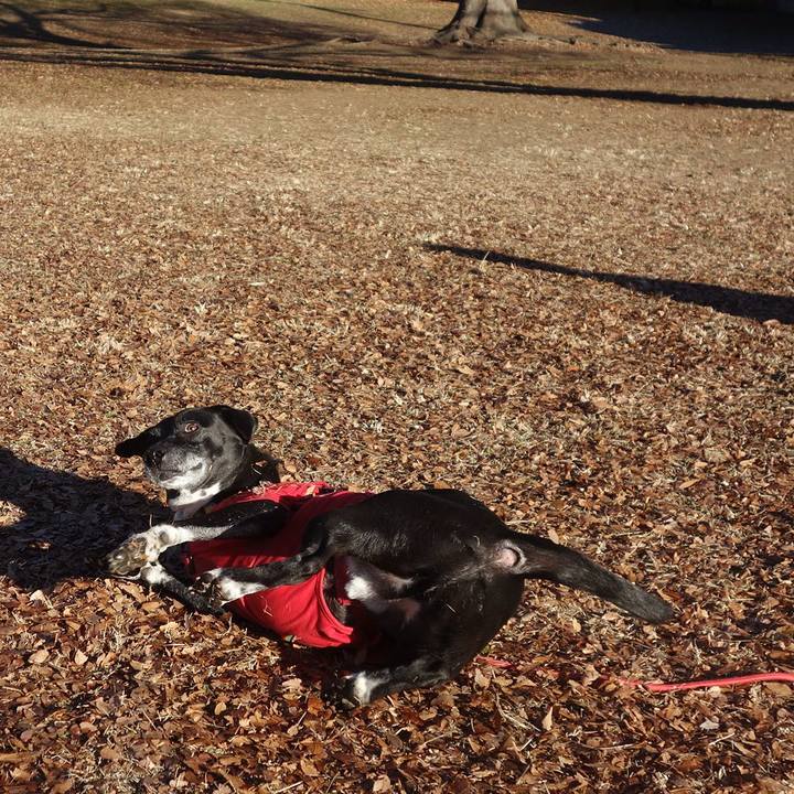 0eae66ae c072 47c2 952d b3c360a7a772 1703553410176