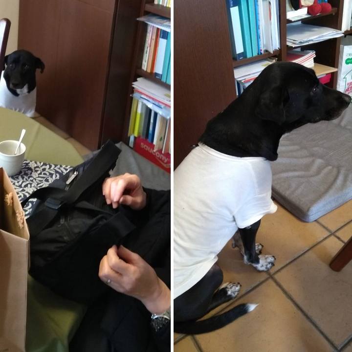 0eaeb656 5466 49da a6b0 c89cfaa4bd68 1608038233833