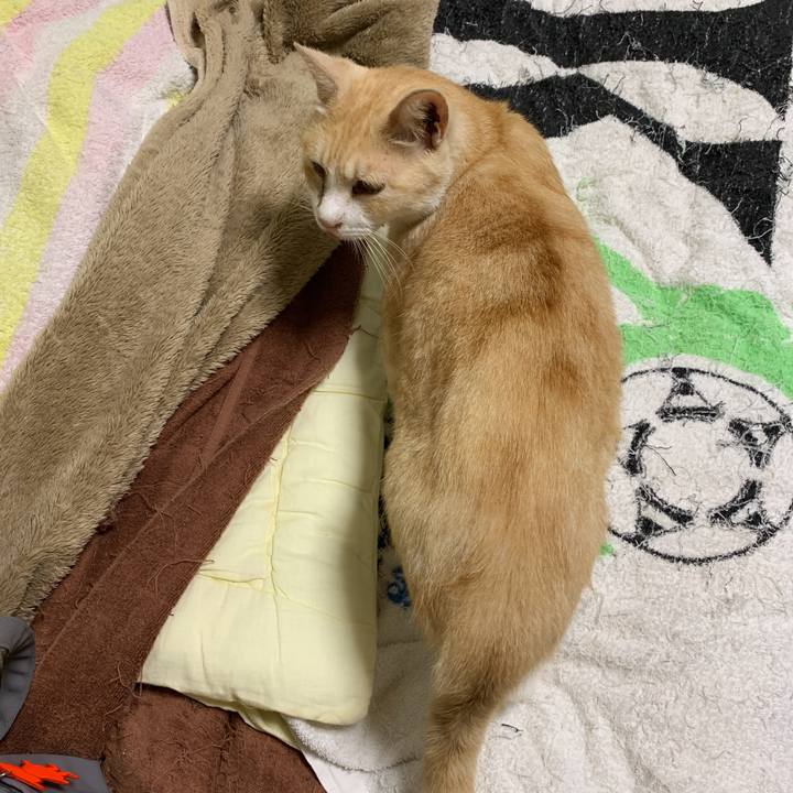 0eaec57f b653 4d93 b87c fc911f09c984 1568898927256