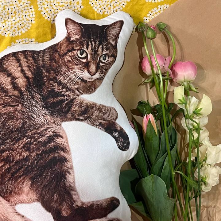 0eaecfb9 a2fa 49b5 831e 2173b4bf7842 1767946463169