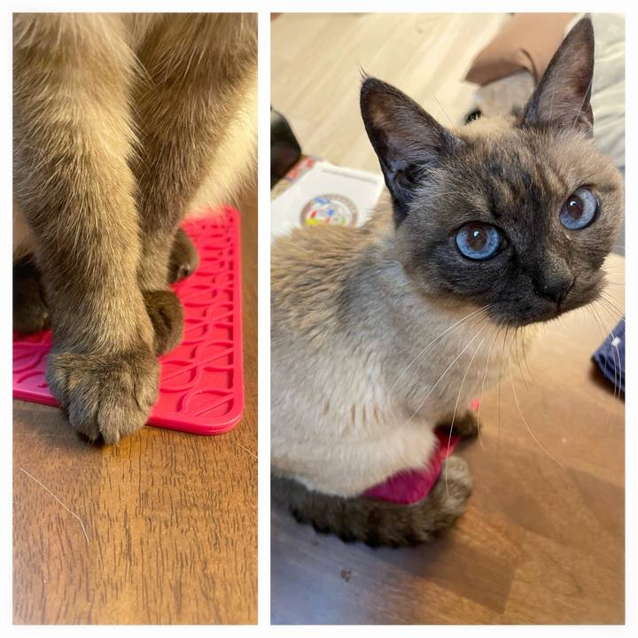 0eaed5a3 39a4 49be 8b0e 054ec67441ab 1775646868590