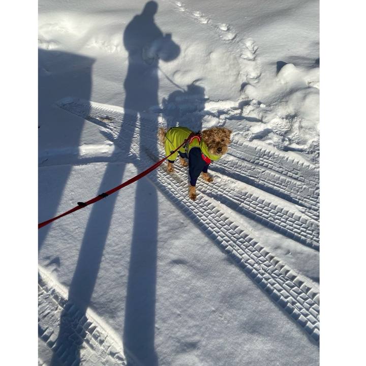 0eaef183 4846 4379 a643 c16a7947aaab 1708298748642