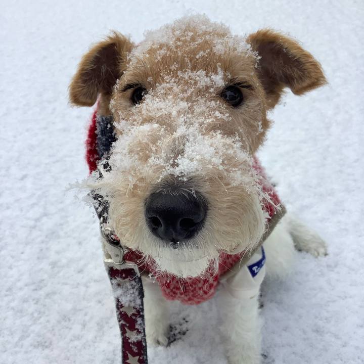 0eaf23a0 5389 4d9e 978a 3e0e894ae259 1769307213473