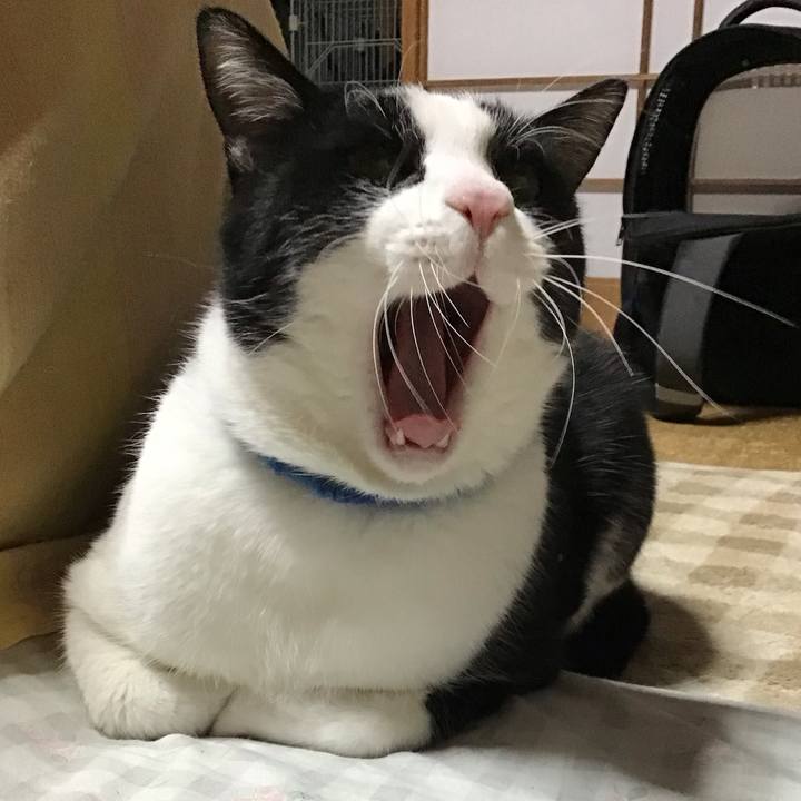 0eaf314c aee5 442f 91a0 d95e0bc8b7c1 1703582514995