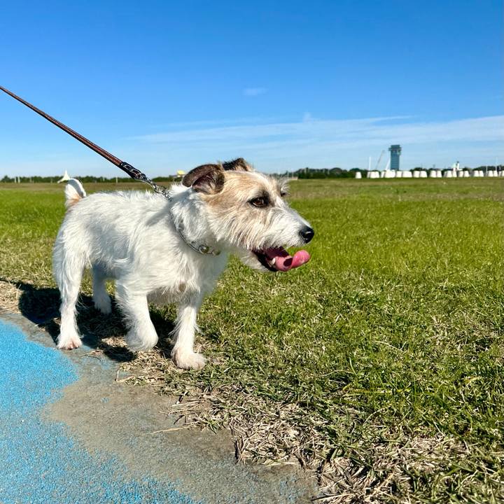 0eaf341c d570 4361 88c8 b1902aa6483c 1731159479767