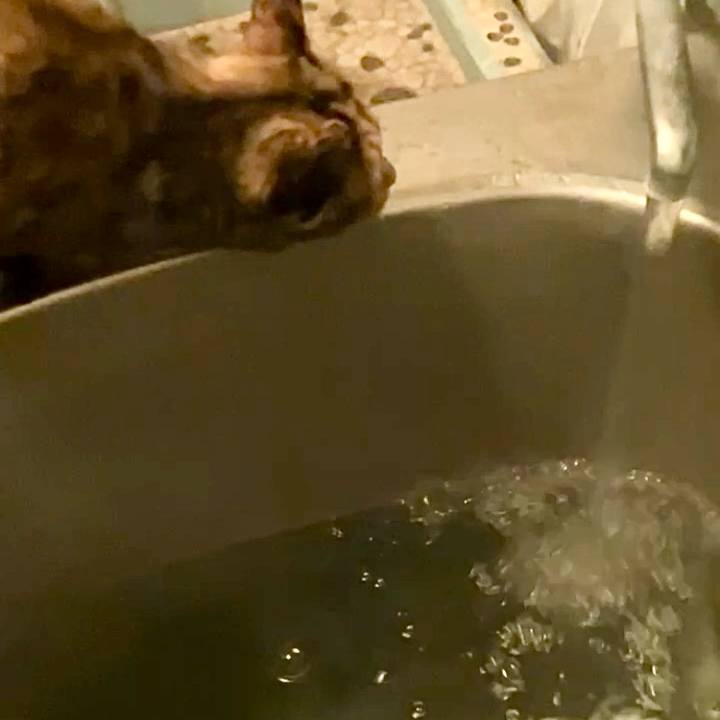 0eaf3cef 4cfd 4829 b39b 2139a84759c9 1743970966622