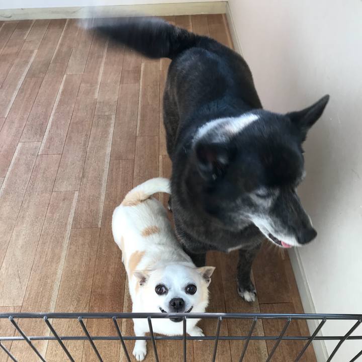 0eafca83 92d7 4a49 85c3 436c41a4762b 1523611278009