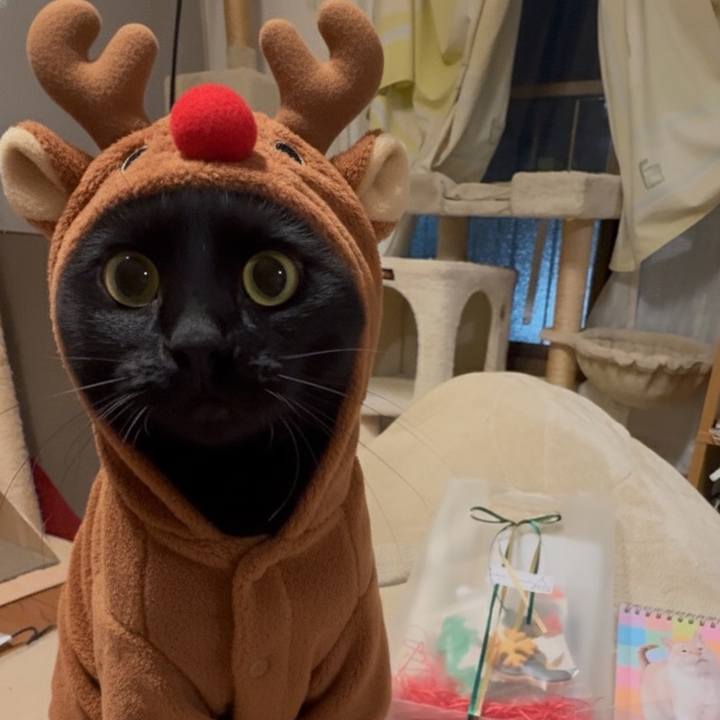 0eafccec c380 4e3f 94f5 c202f83aea13 1766618565602