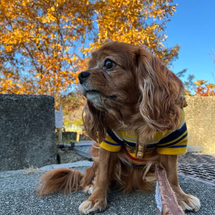 0eb02f60 5b61 4afb 949b 44feab79b16b 1701476480481