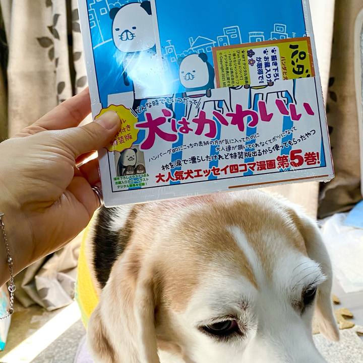 0eb0349d b646 46e9 a661 8d8c8993be69 1635832987809