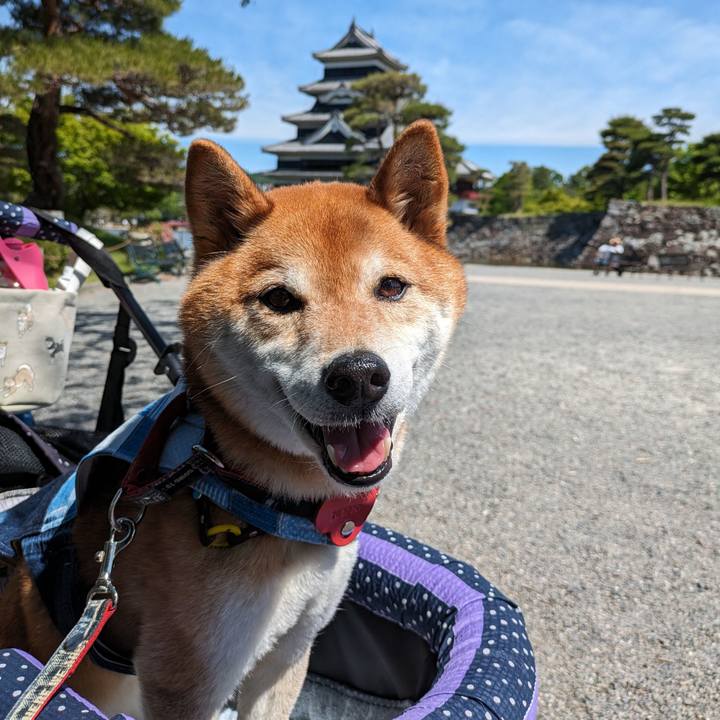 0eb092d7 dd86 407f bda5 882de3619931 1716760168278