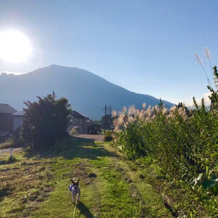 0eb0d5f7 b0eb 4dda 8214 0756d02d97b3 1568371419117