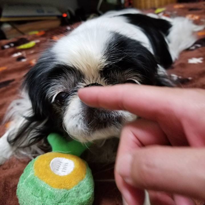 0eb0f695 7ce6 44b8 862b 4ef4dfda1a7f 1519732257611