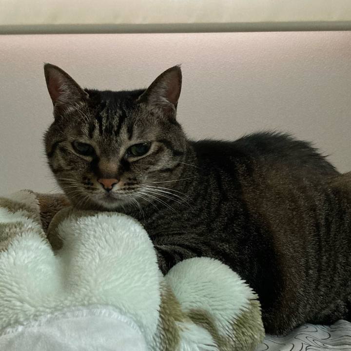 0eb0f76c 92fb 49e6 8a34 c5cac0a42ff0 1654471391643