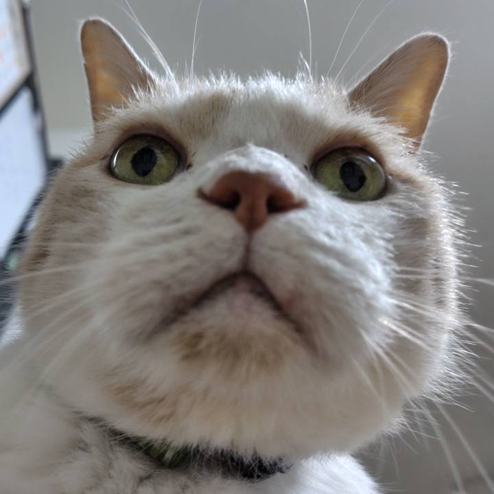 0eb1133b 26e9 4315 a02b aeea1bf400ef 1729297304918