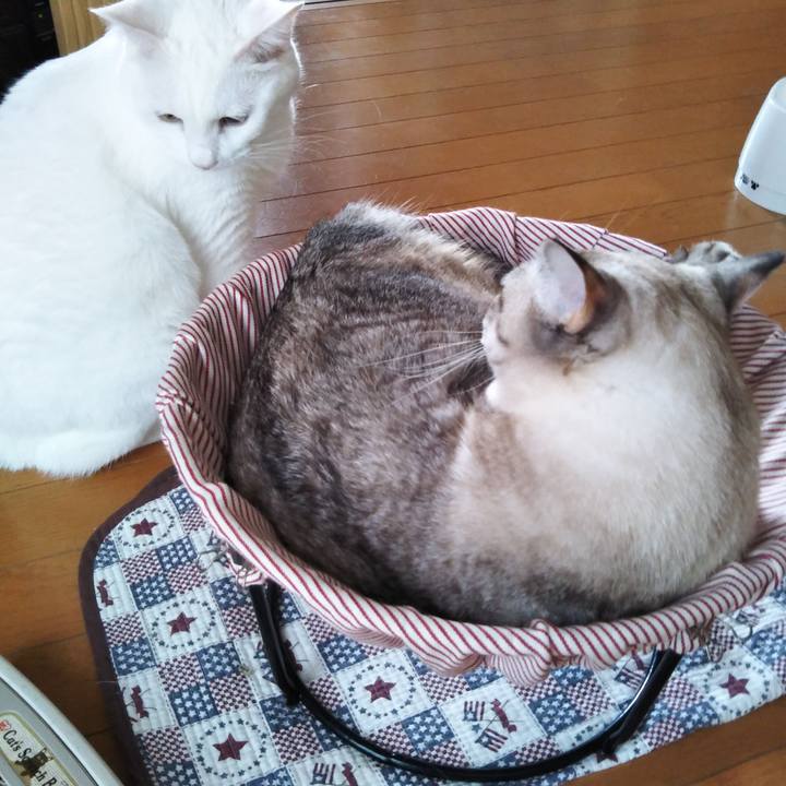 0eb13b63 c9a1 4b96 abde cb51758687b7 1567919235058