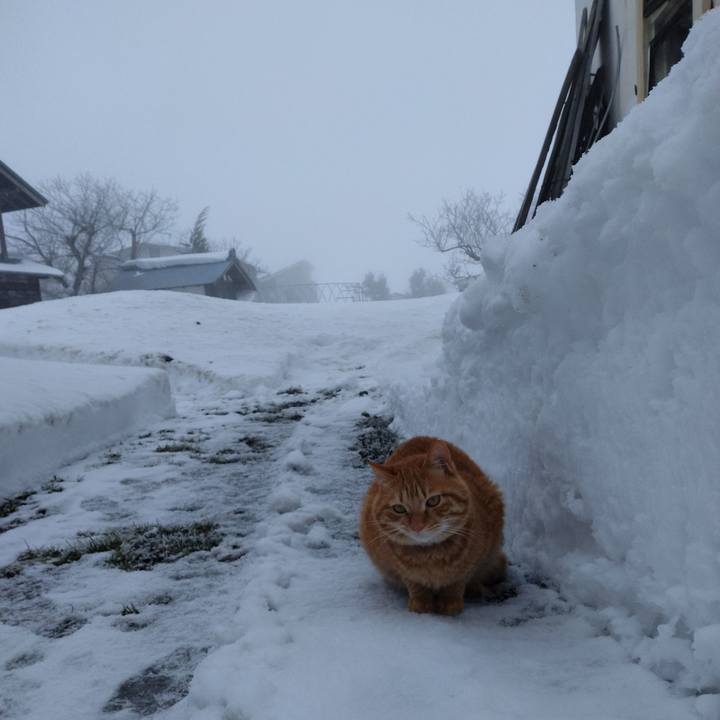 0eb1592e 36c3 463e b0e1 4d0e3815a037 1673046934923