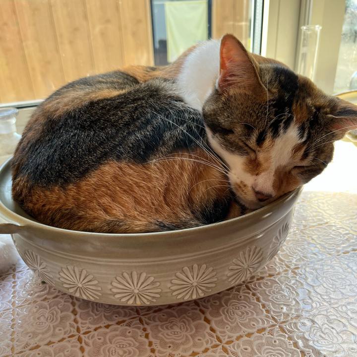 0eb15fd4 1c88 409b ae20 d8ae7399940c 1688939161299