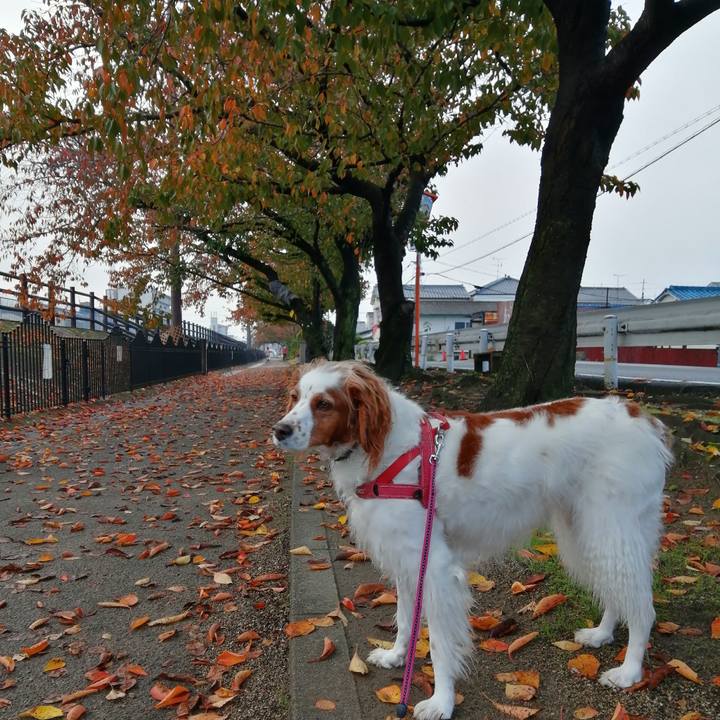 0eb1bc0f c108 4748 81ee ef06120926c8 1604795361476