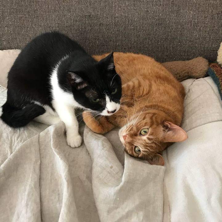 0eb1d1c6 2b13 47c1 86da f86694d84c8e 1521093871540