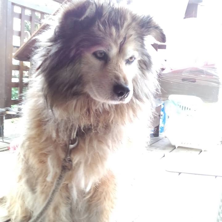 0eb1d4eb 0001 45c1 8243 bc6f704ef144 1588633273796