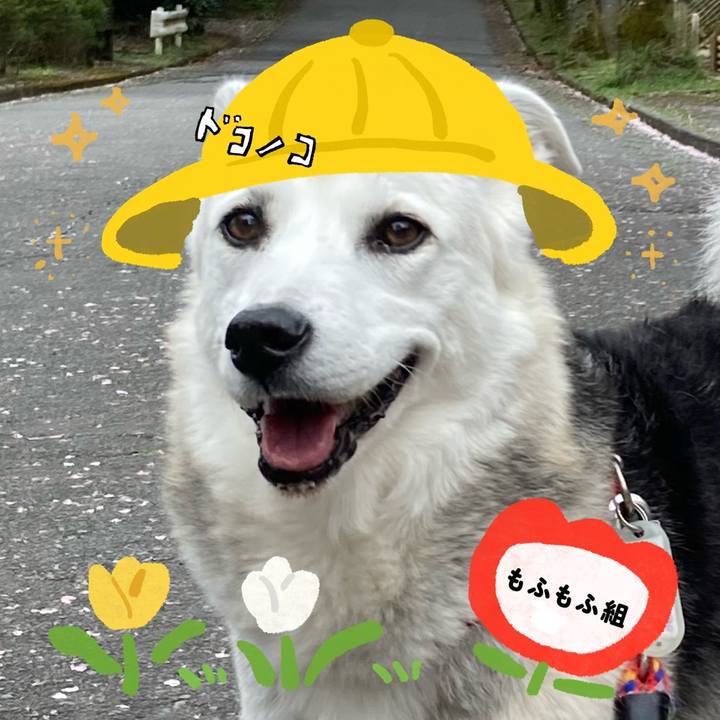 0eb1e3b5 d5a0 424e 90dc 3735b533d22d 1712222440230