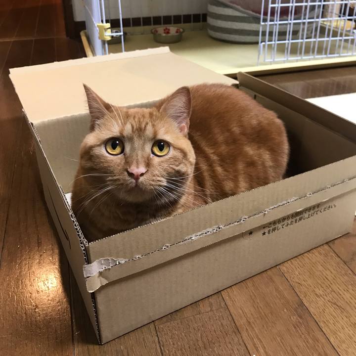 0eb1e528 cd4c 44d9 8984 69cb8d7708ab 1561473403733