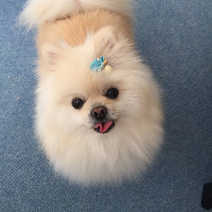 0eb28586 4c83 4dc6 a617 1a63a6da6010 1545971739765