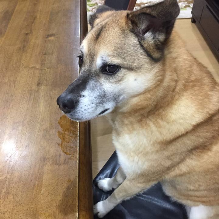 0eb2a6ee 39bb 4162 b080 531e42555215 1579778704905