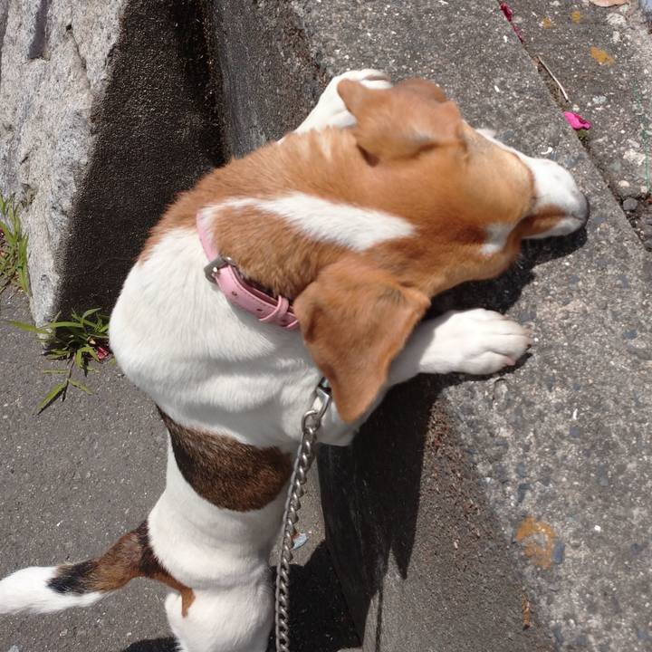 0eb2fb1d a6cc 48fc b08b c8857269ae21 1590550636945